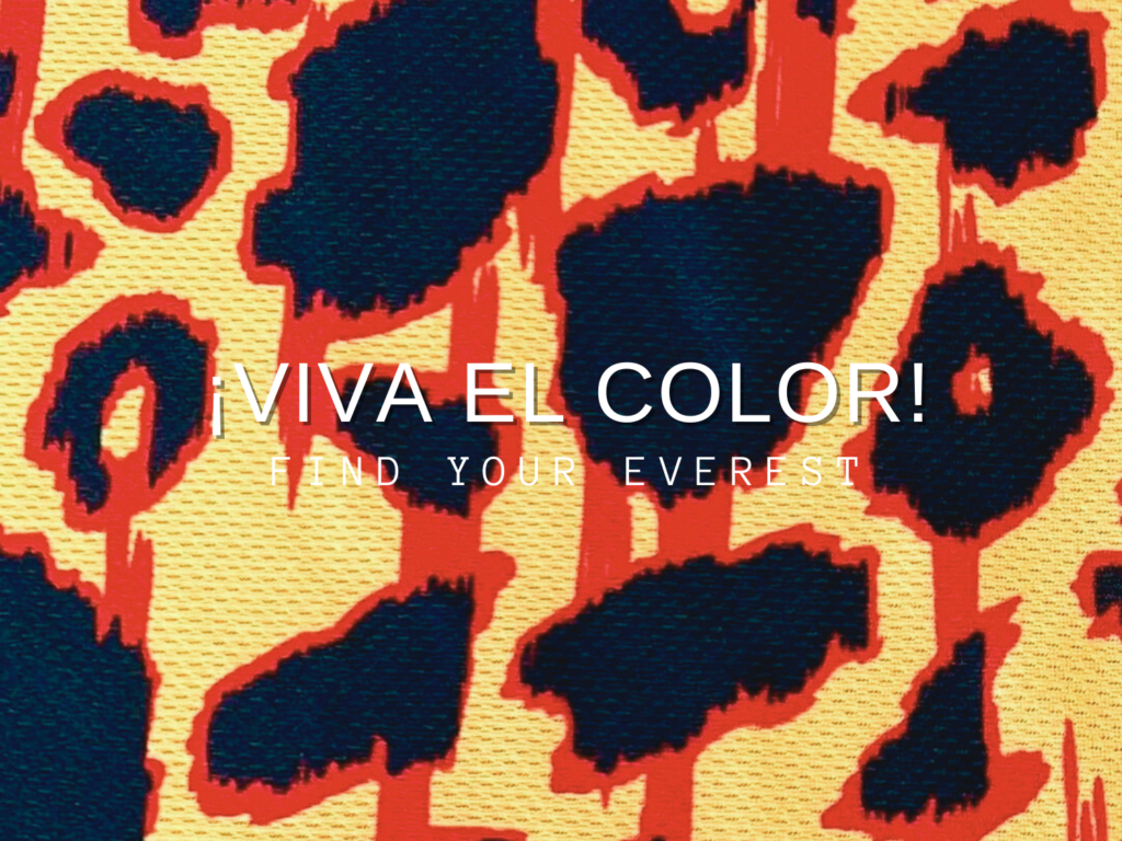 ¡VIVA EL COLOR!